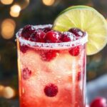 Cranberry Lime Fizz Mocktail