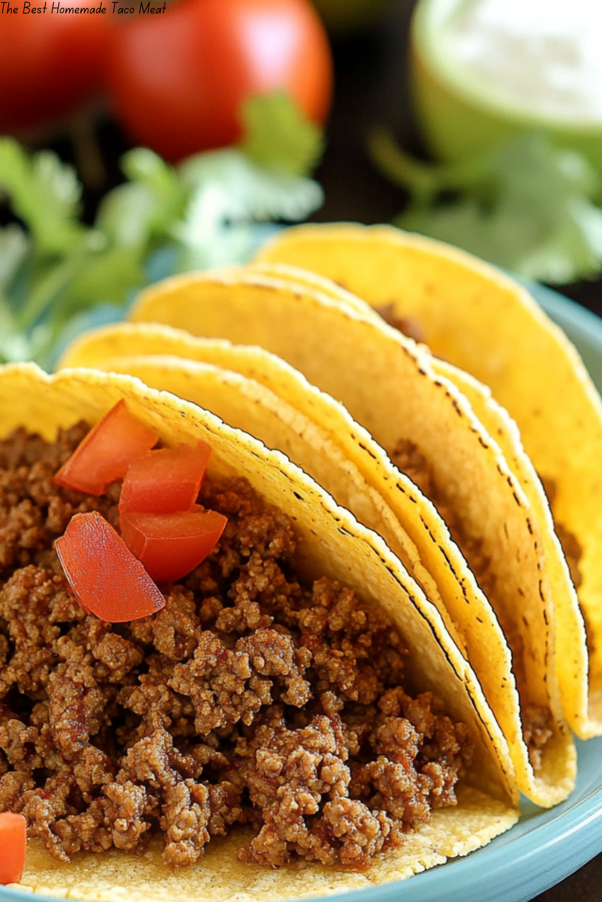 The Best Homemade Taco Meat