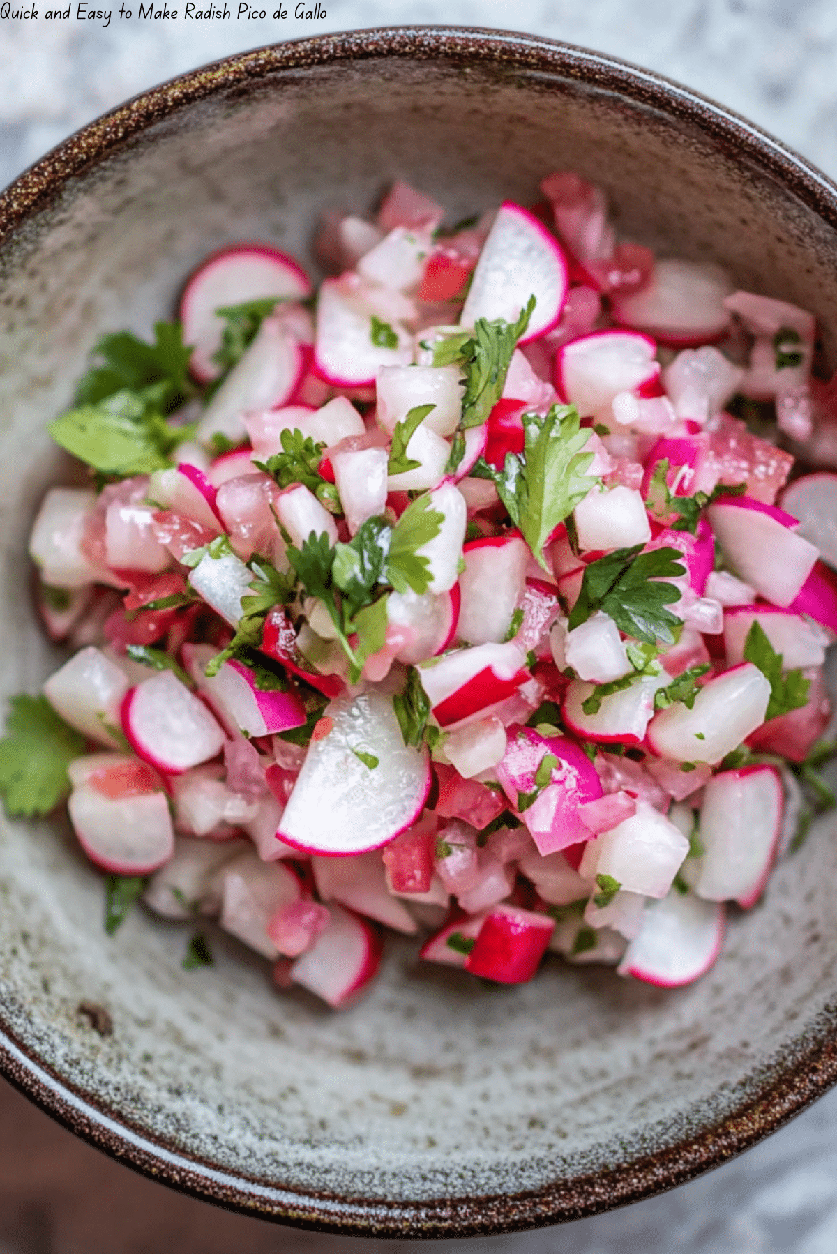 Quick and Easy to Make Radish Pico de Gallo