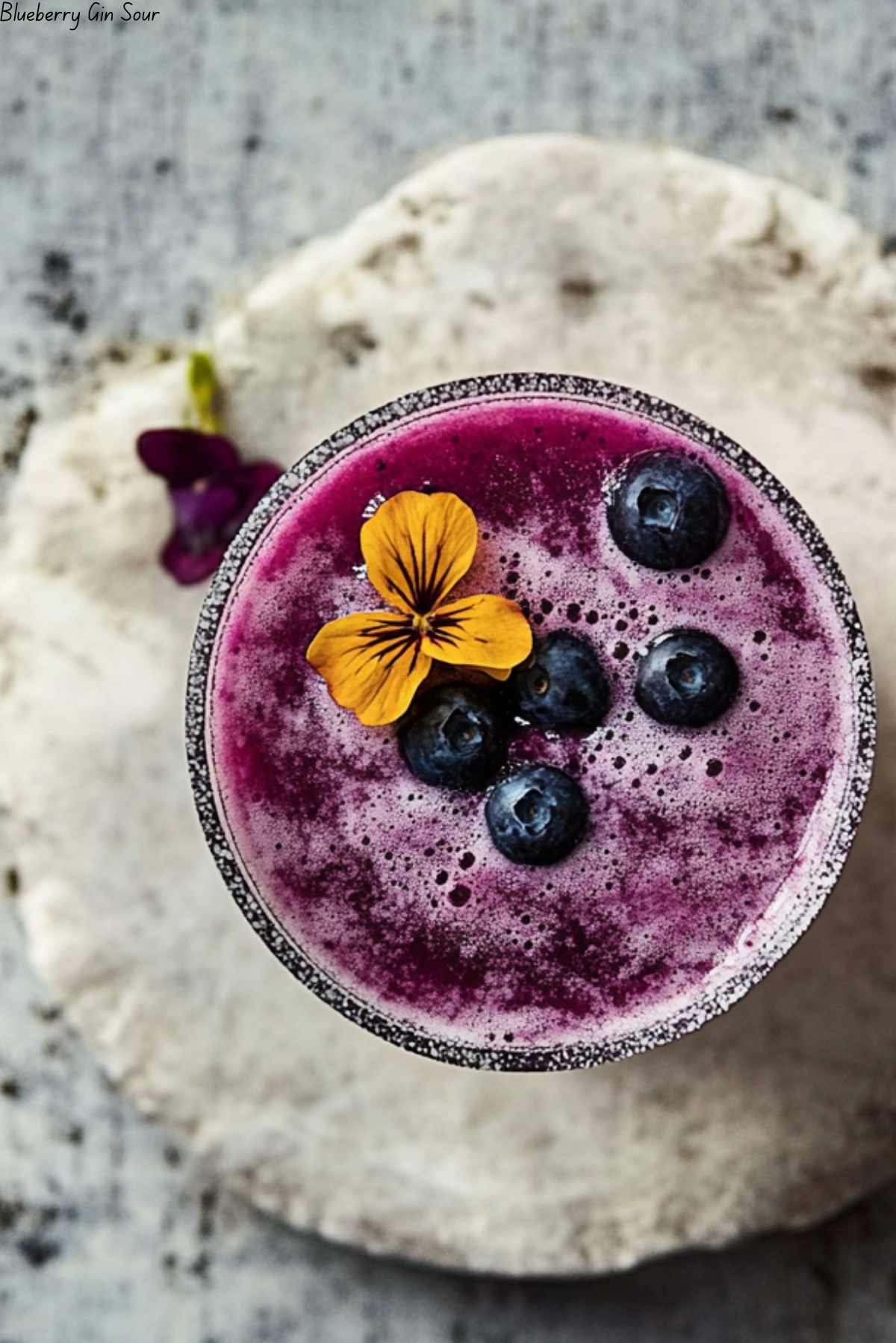 Blueberry Gin Sour