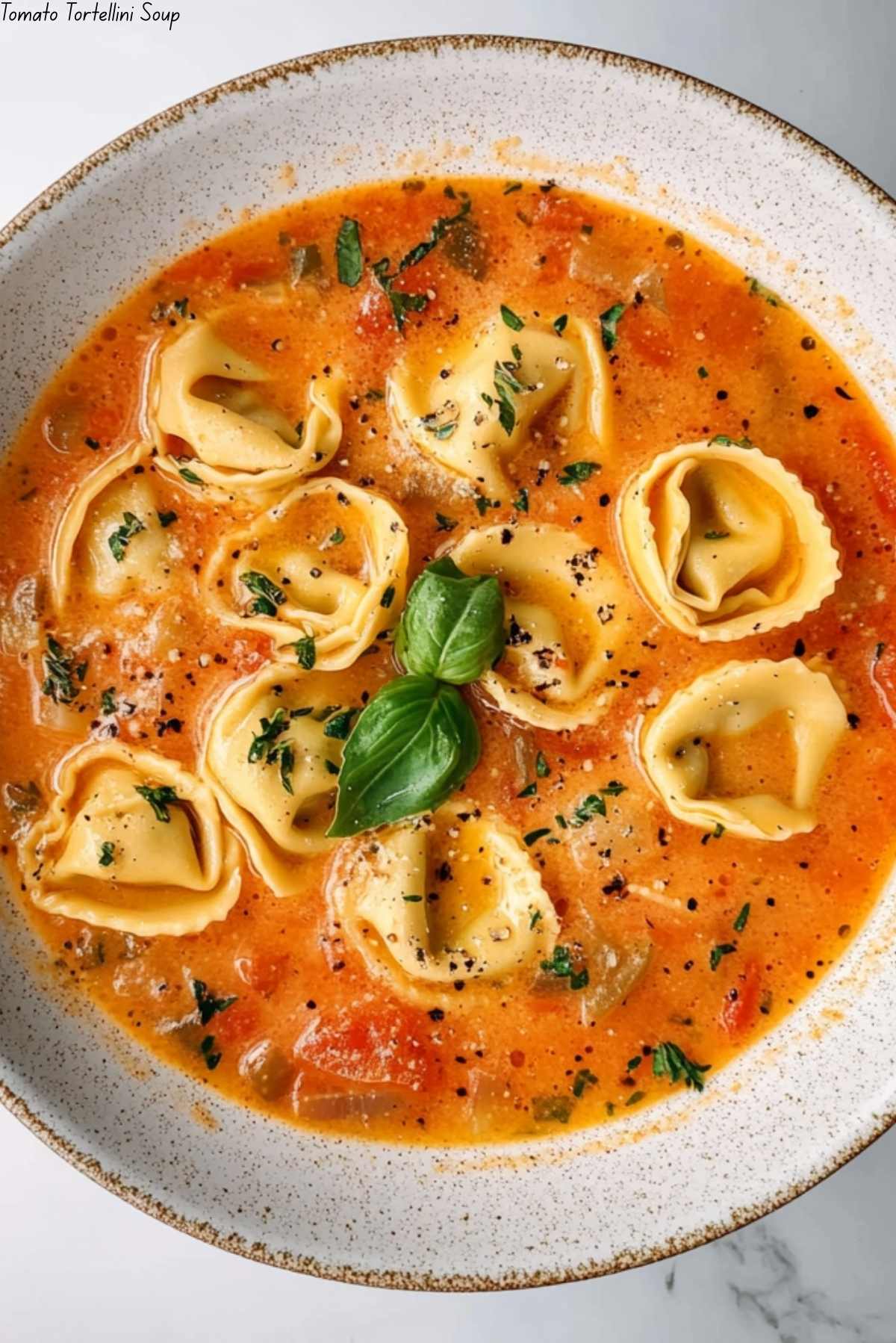 Tomato Tortellini Soup