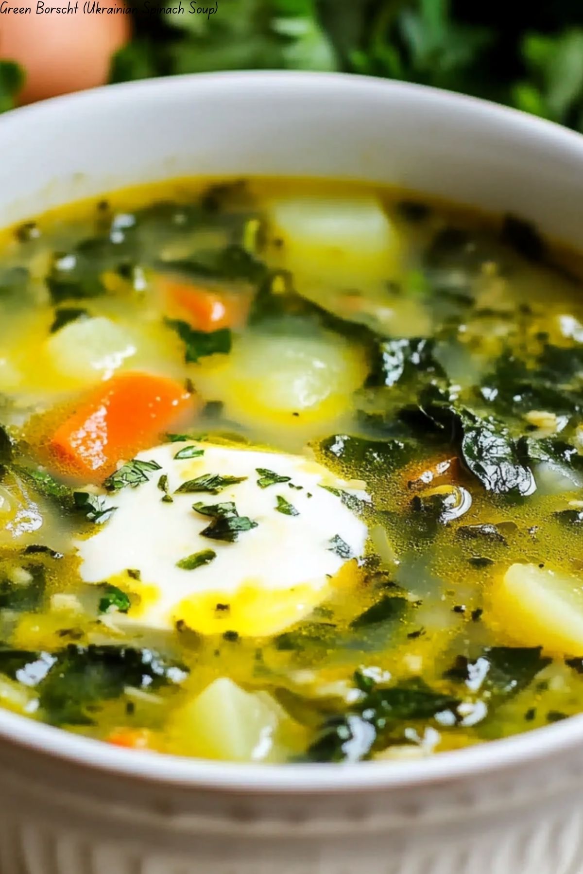 Green Borscht (Ukrainian Spinach Soup)