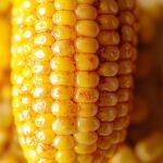 Cajun Corn on the Cob