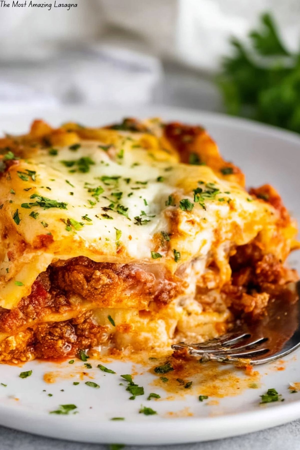 The Most Amazing Lasagna