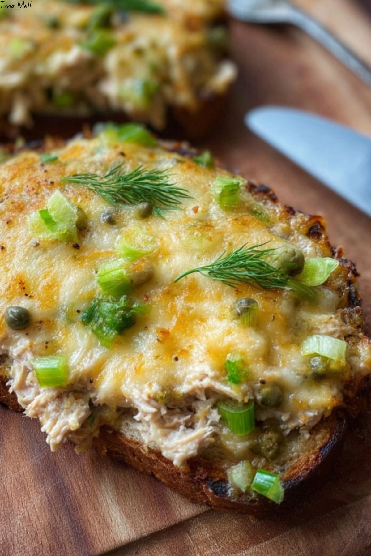 Tuna Melt