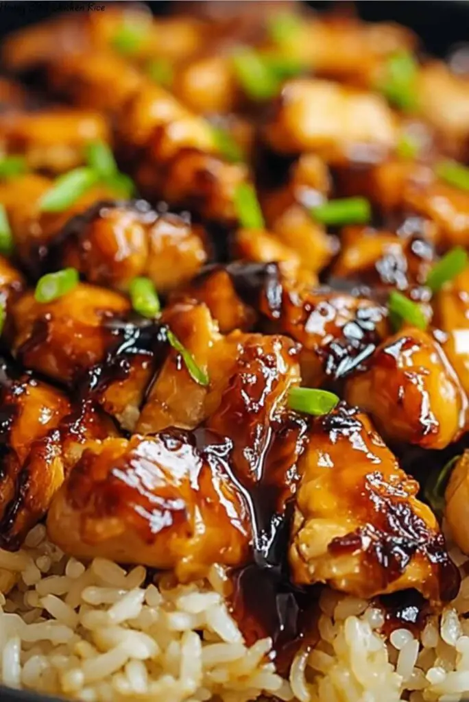 Honey BBQ Chicken Rice