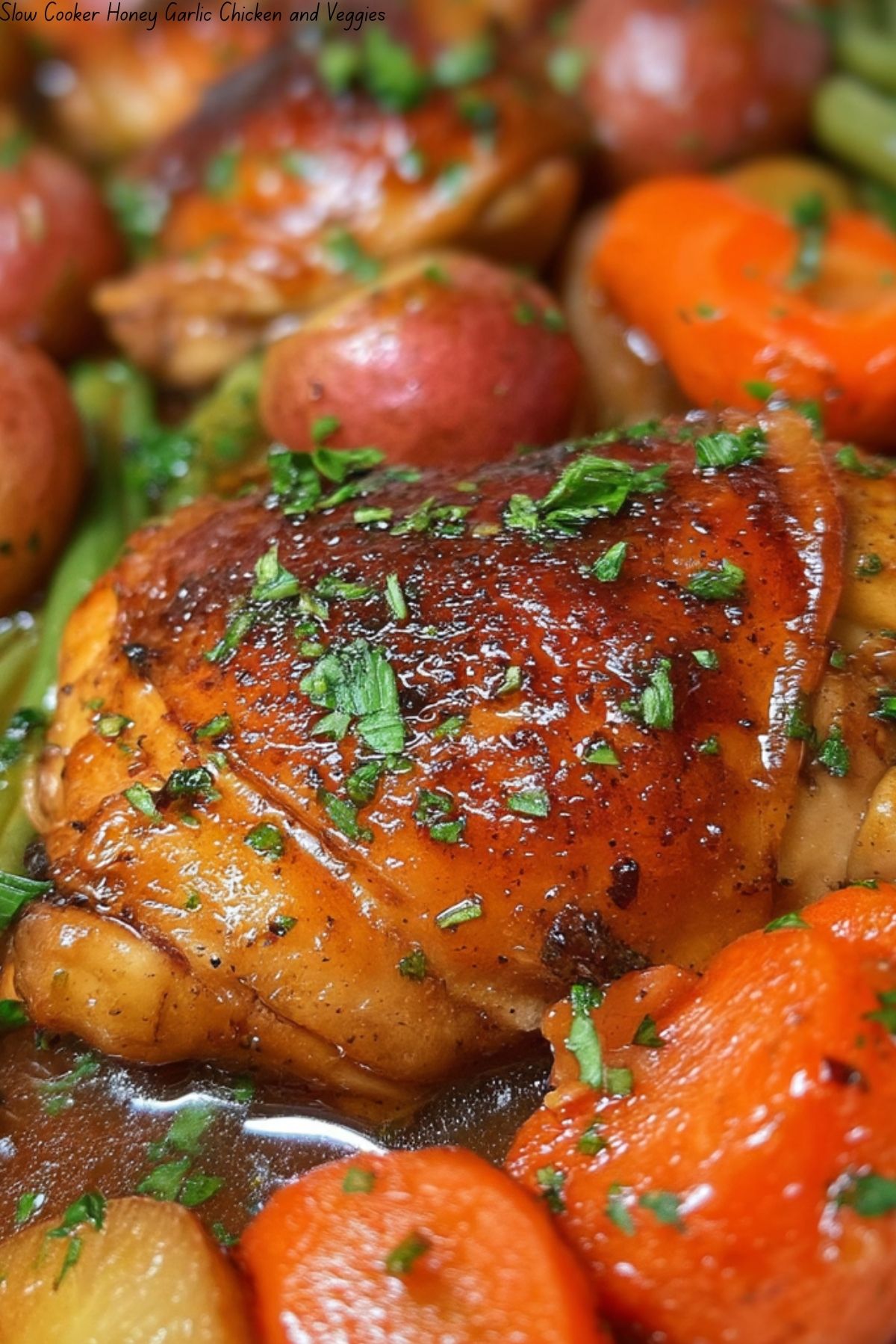 Slow Cooker Honey Garlic Chicken and Veggies