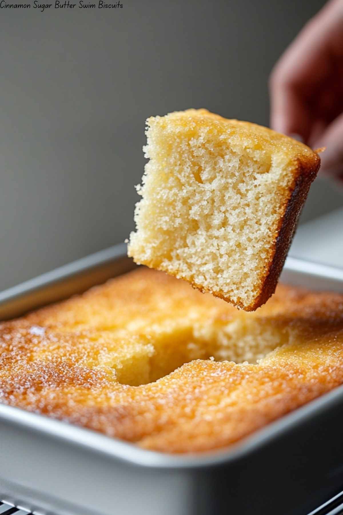 Cinnamon Sugar Butter Swim Biscuits