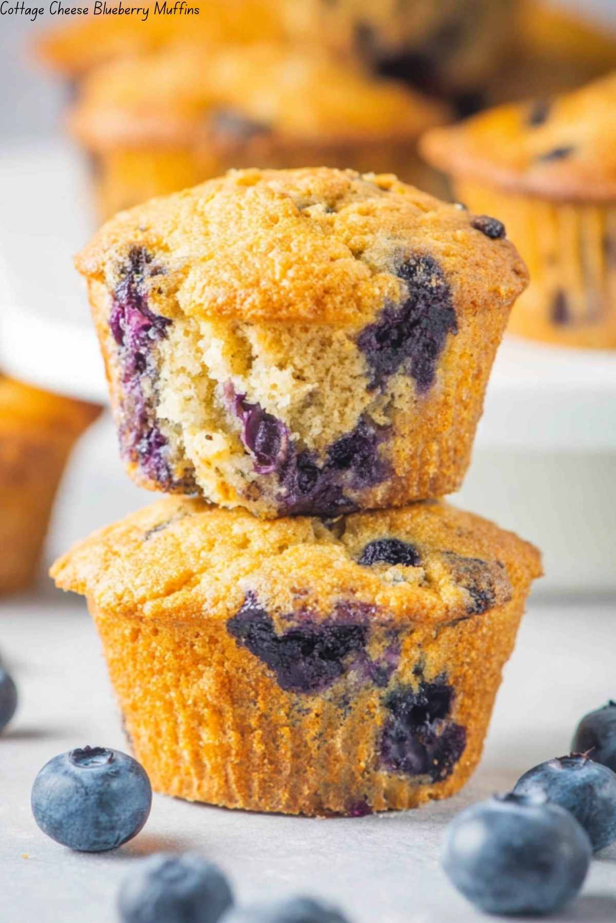 Cottage Cheese Blueberry Muffins