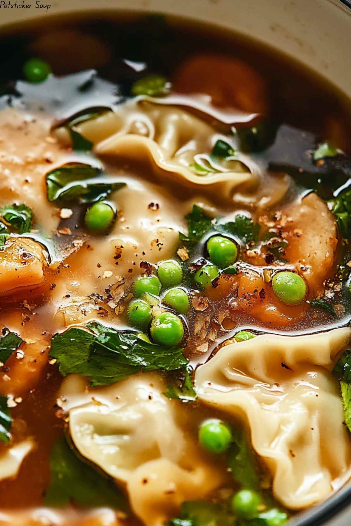 Potsticker Soup