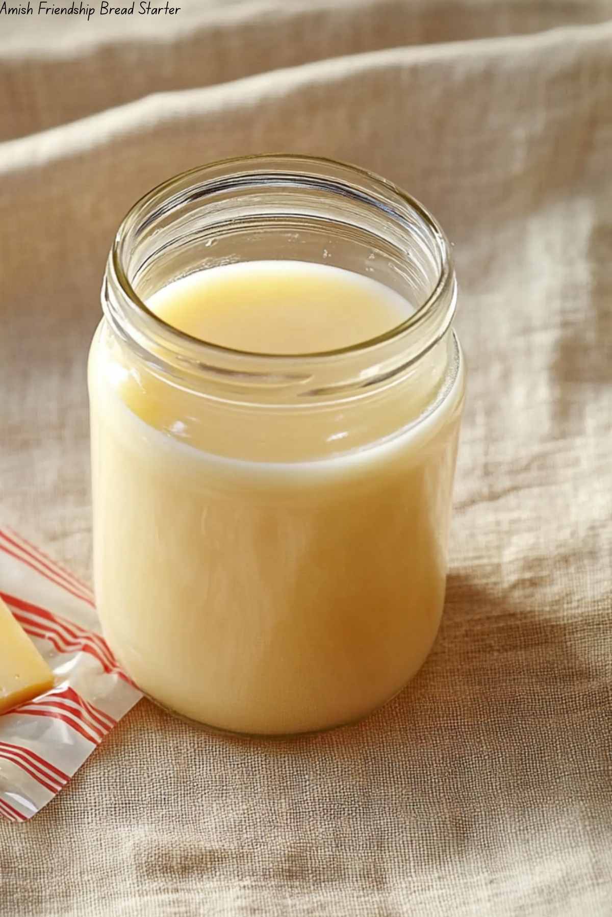 Amish Friendship Bread Starter