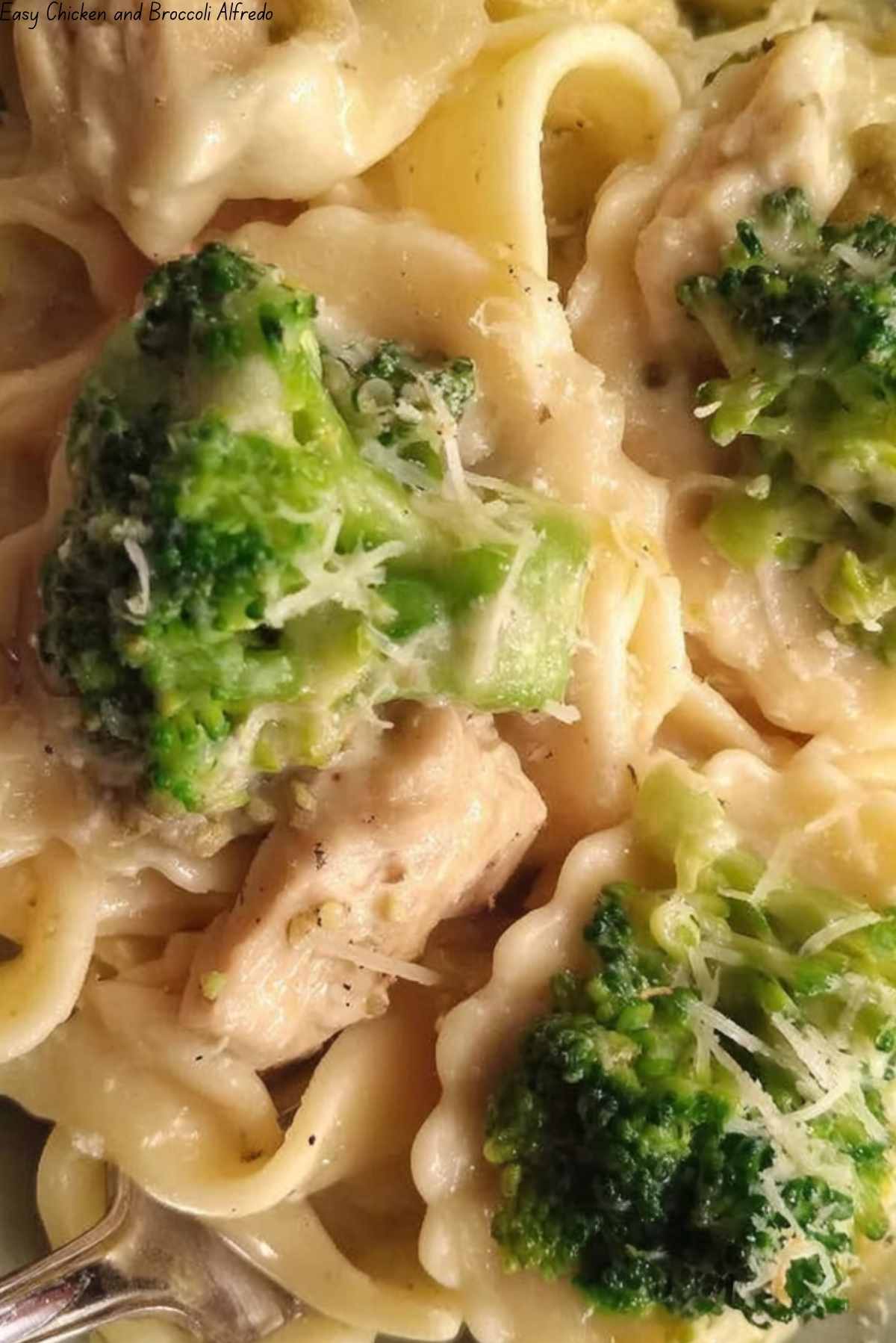 Easy Chicken and Broccoli Alfredo