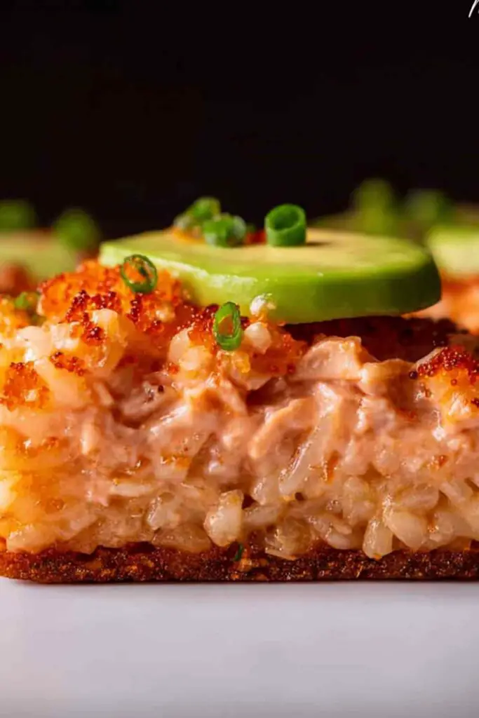 Salmon Crispy Rice