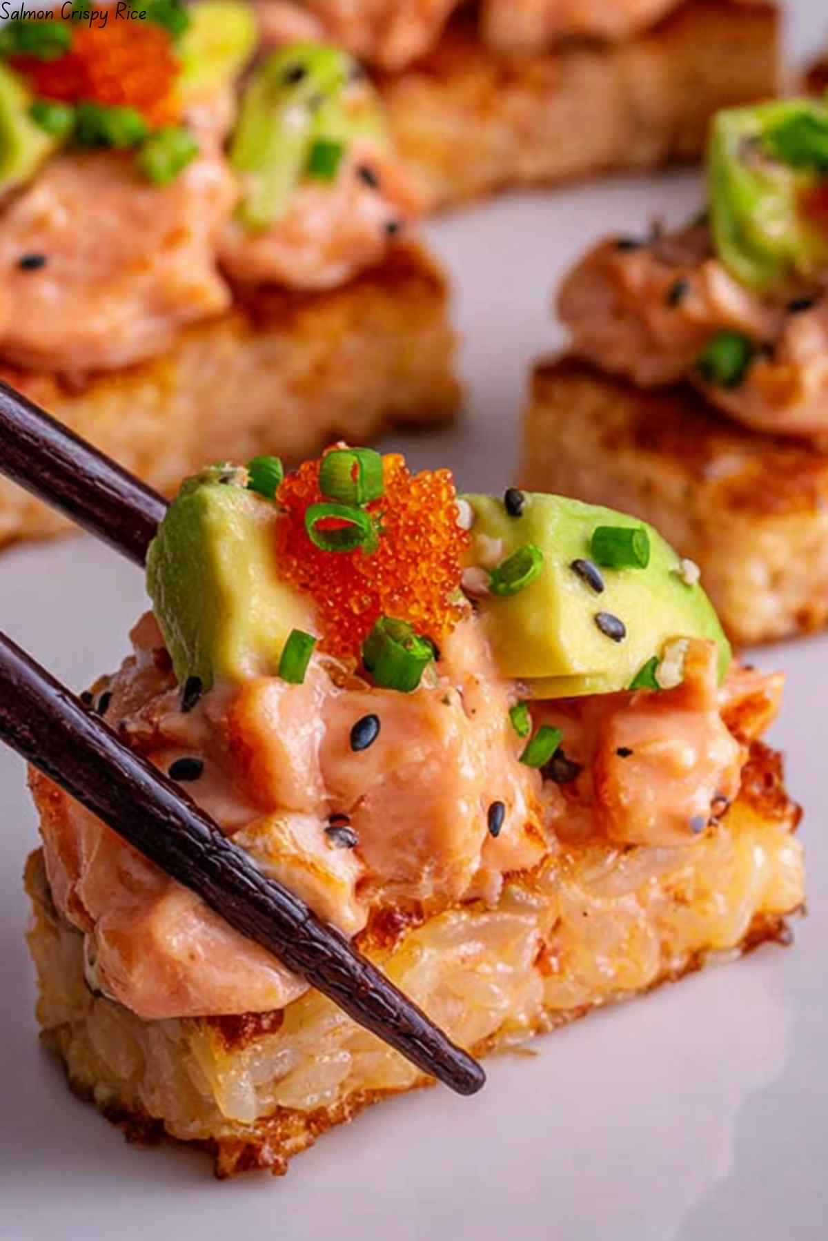 Salmon Crispy Rice
