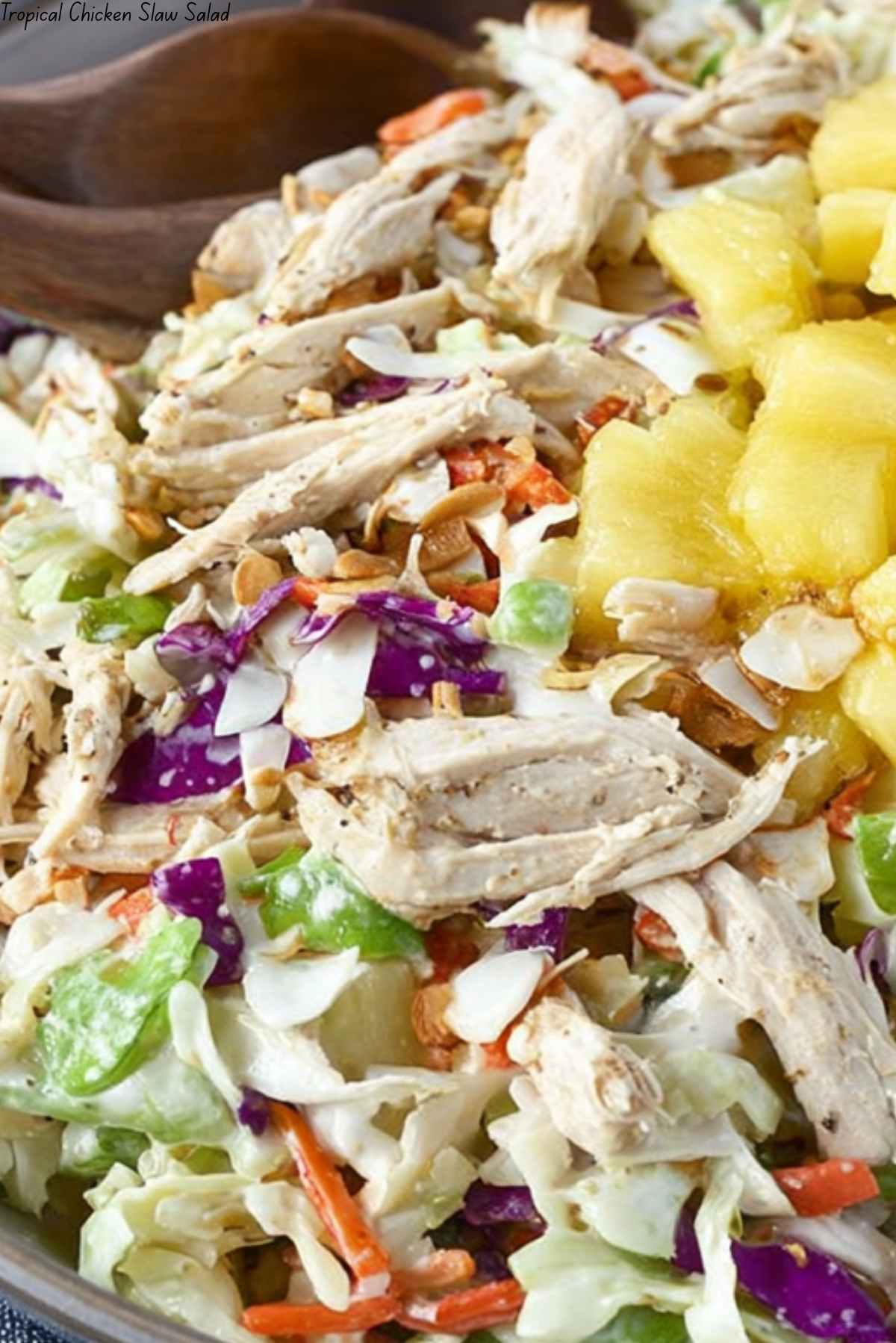 Tropical Chicken Slaw Salad