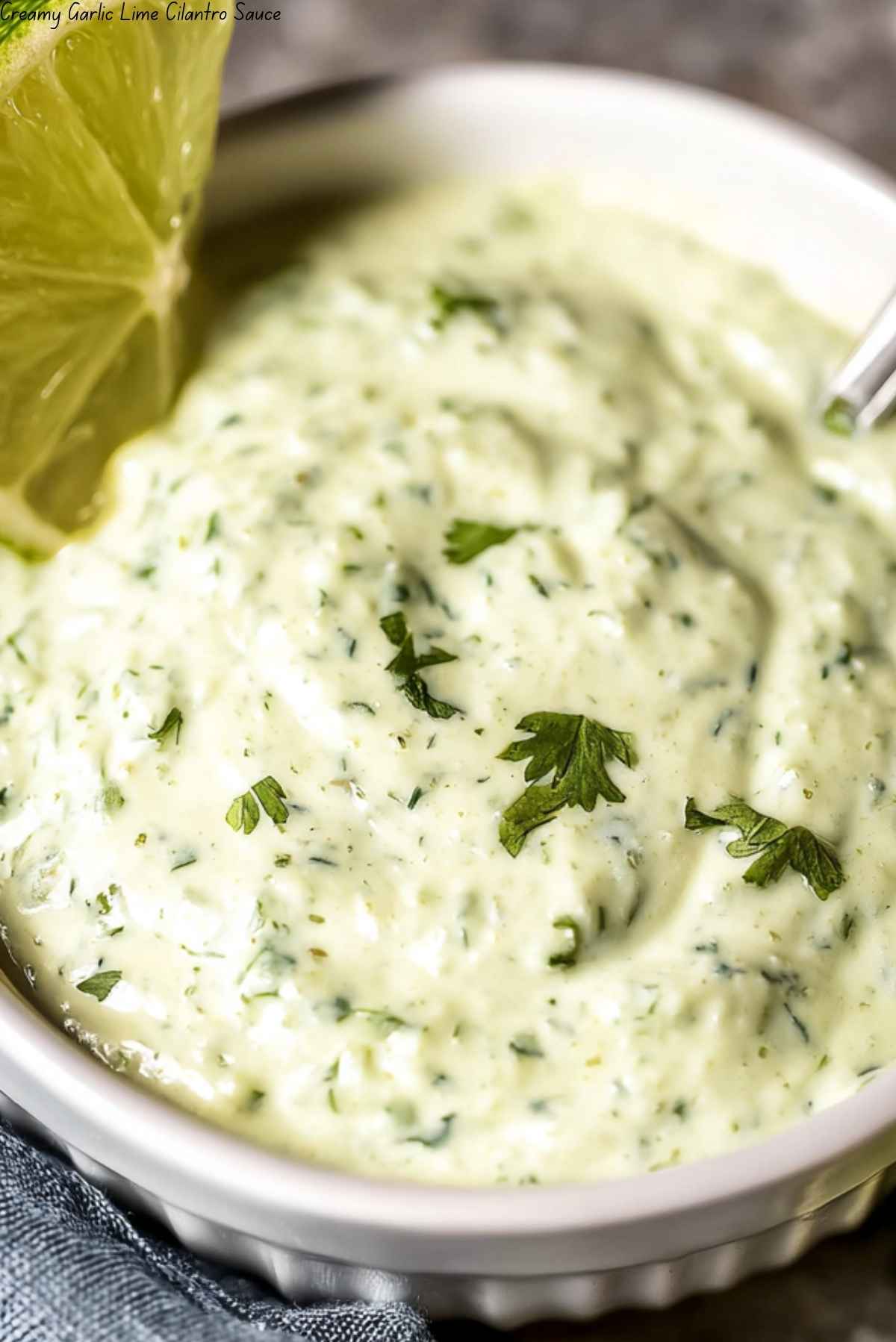 Creamy Garlic Lime Cilantro Sauce