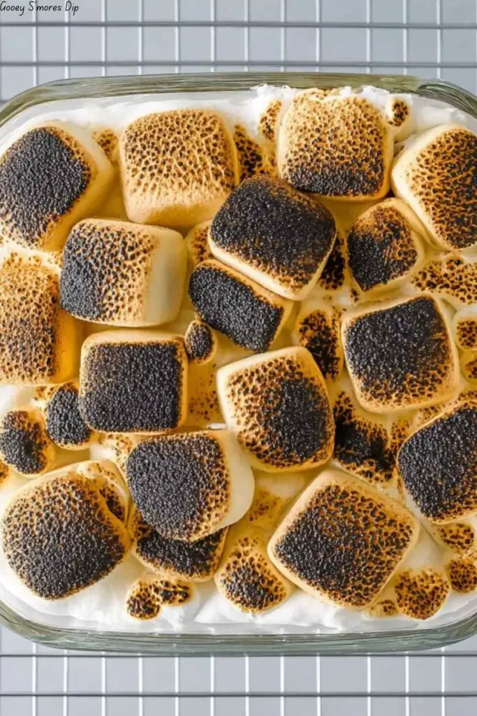 Gooey S'mores Dip