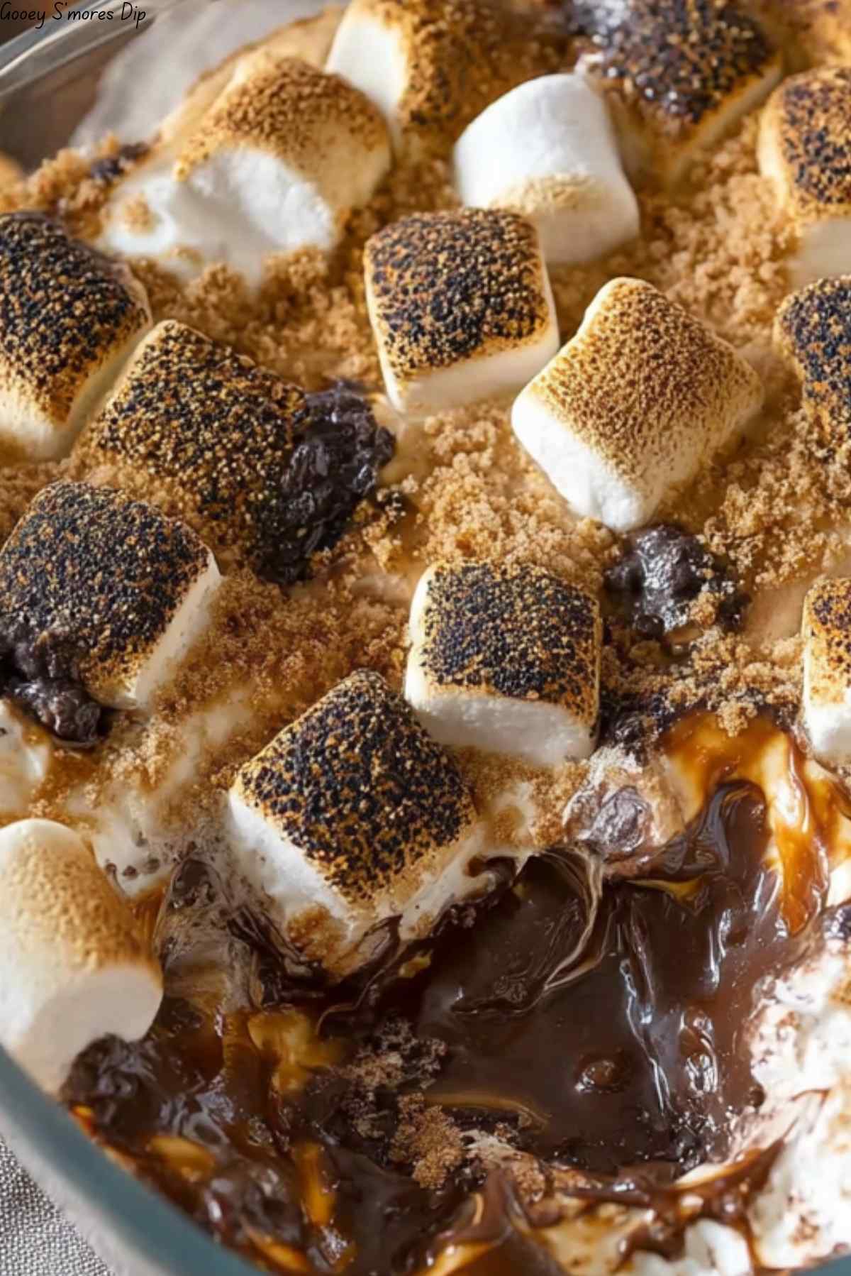 Gooey S'mores Dip