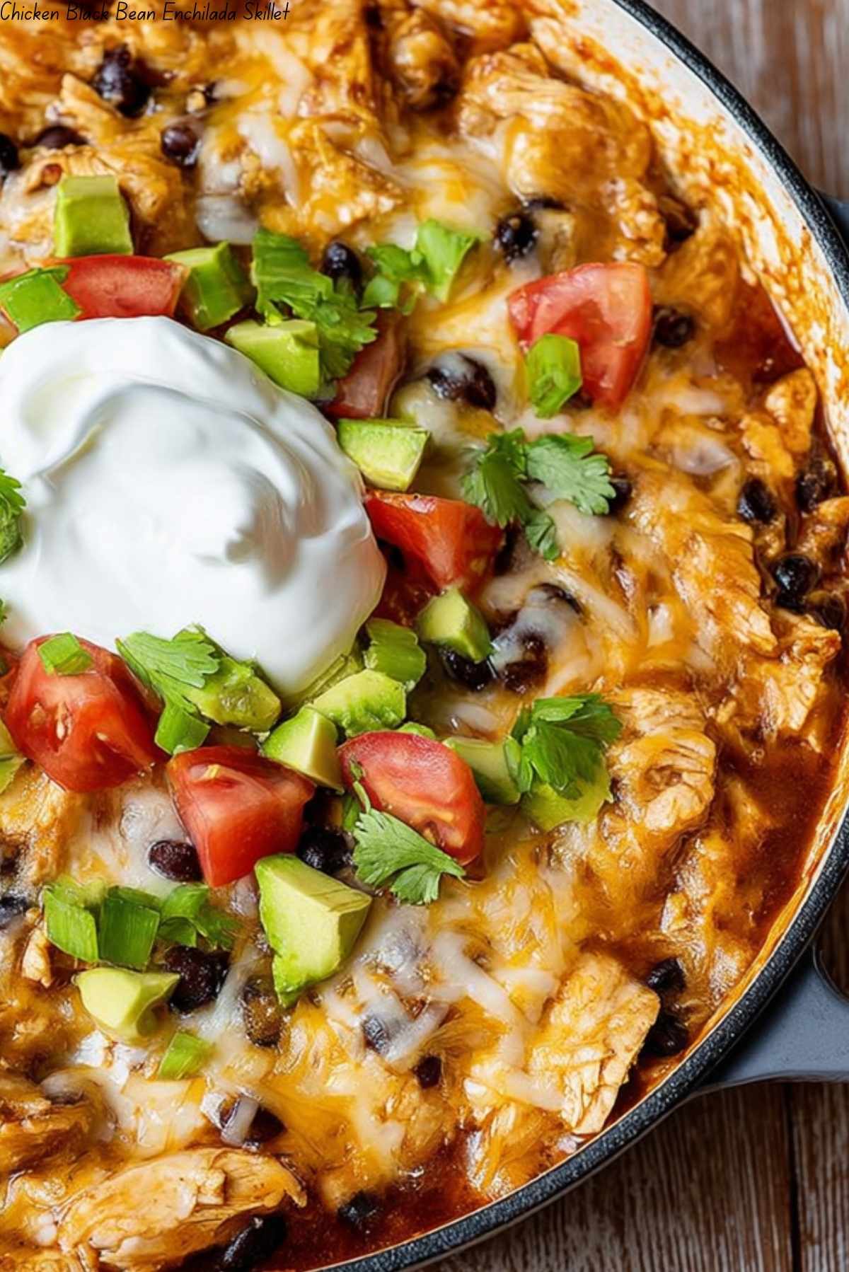 Chicken Black Bean Enchilada Skillet