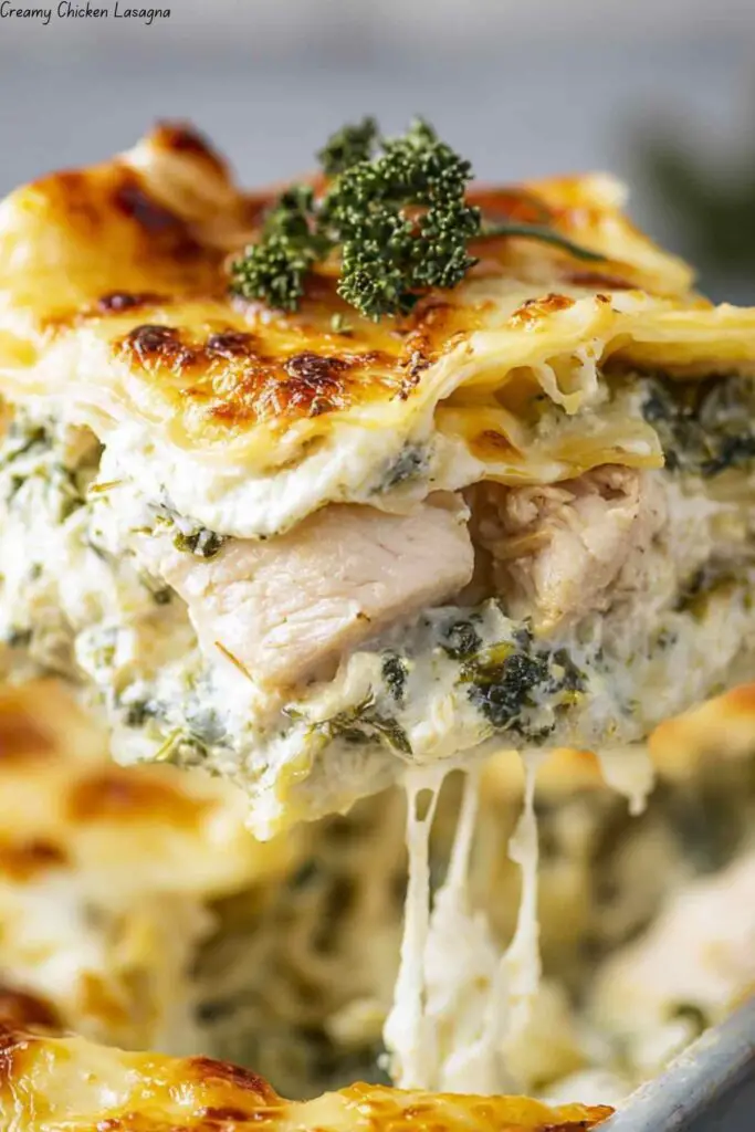 Creamy Chicken Lasagna