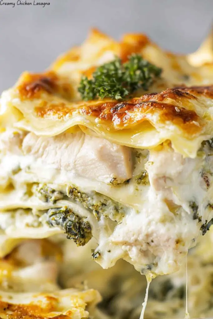 Creamy Chicken Lasagna