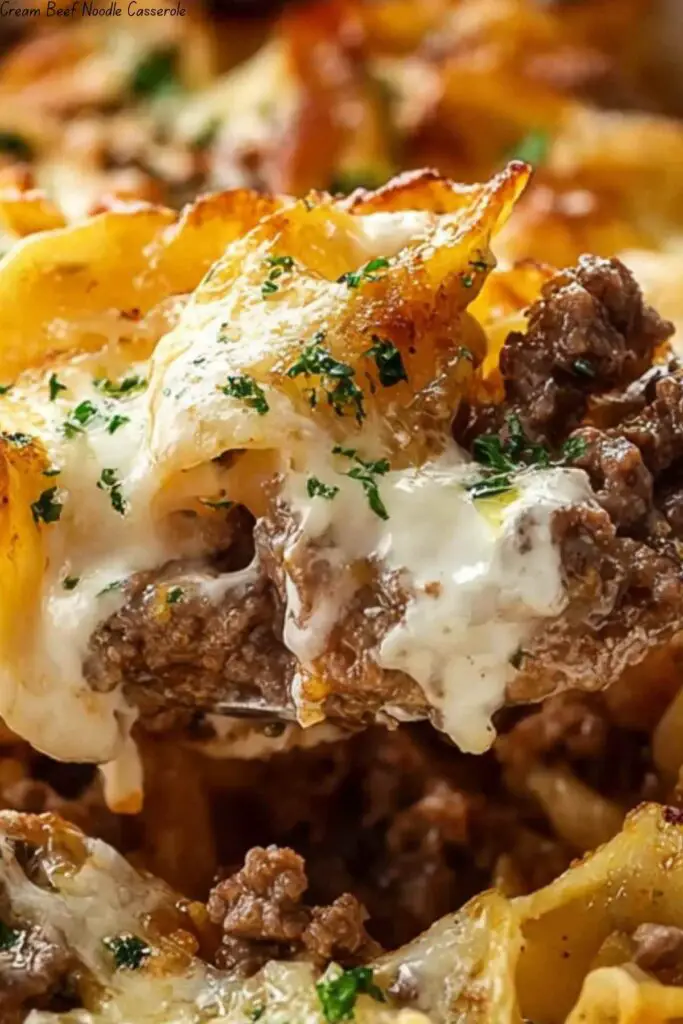 Cream Beef Noodle Casserole