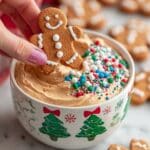 Sweet Gingerbread Cheesecake Dip Recipe